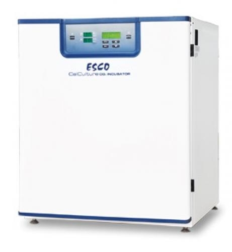 How To Safeguard Your Cell Culture From Contamination Poster Picture 
