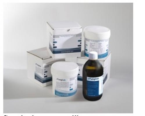 Rotational Viscosity Standards