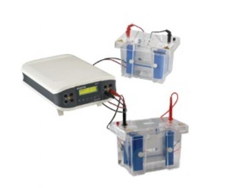 ENDURO VE10 Vertical Gel Electrophoresis System