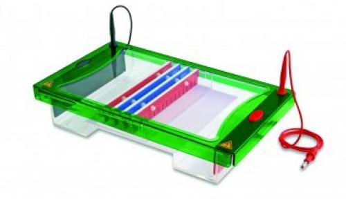 http://www.consort.be/plugins/i18n_specialpages/browser/pic.php?w=375&h=454&p=product-fotos%2Felectrophoresis%2Fe3500.jpg
