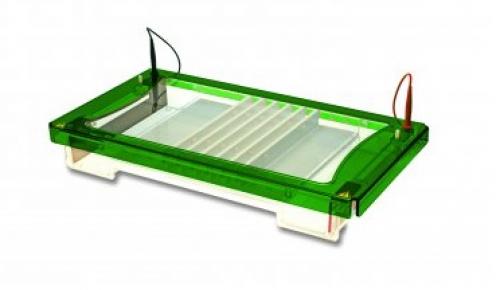 http://www.consort.be/plugins/i18n_specialpages/browser/pic.php?w=375&h=454&p=product-fotos%2Felectrophoresis%2Fe3600.jpg