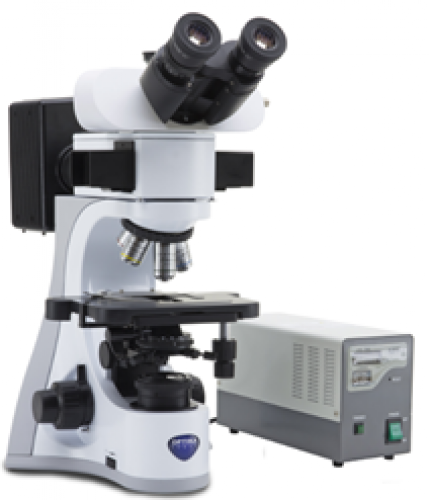 Optika B-510FL, Microscoapă cu fluorescenta | sepadin.ro