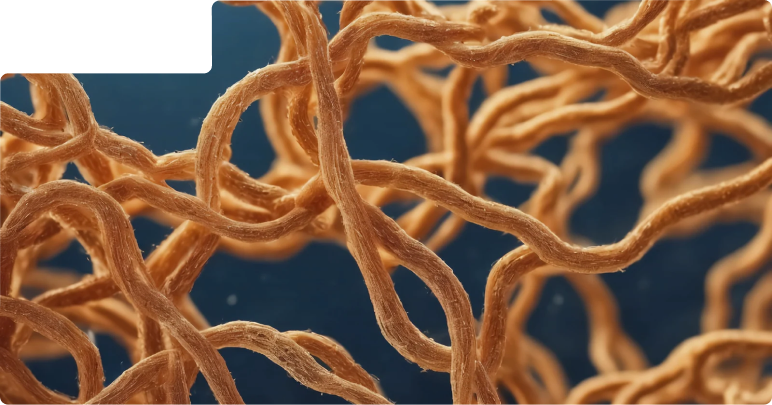 How do we stop the next pandemic from an unknown virus?